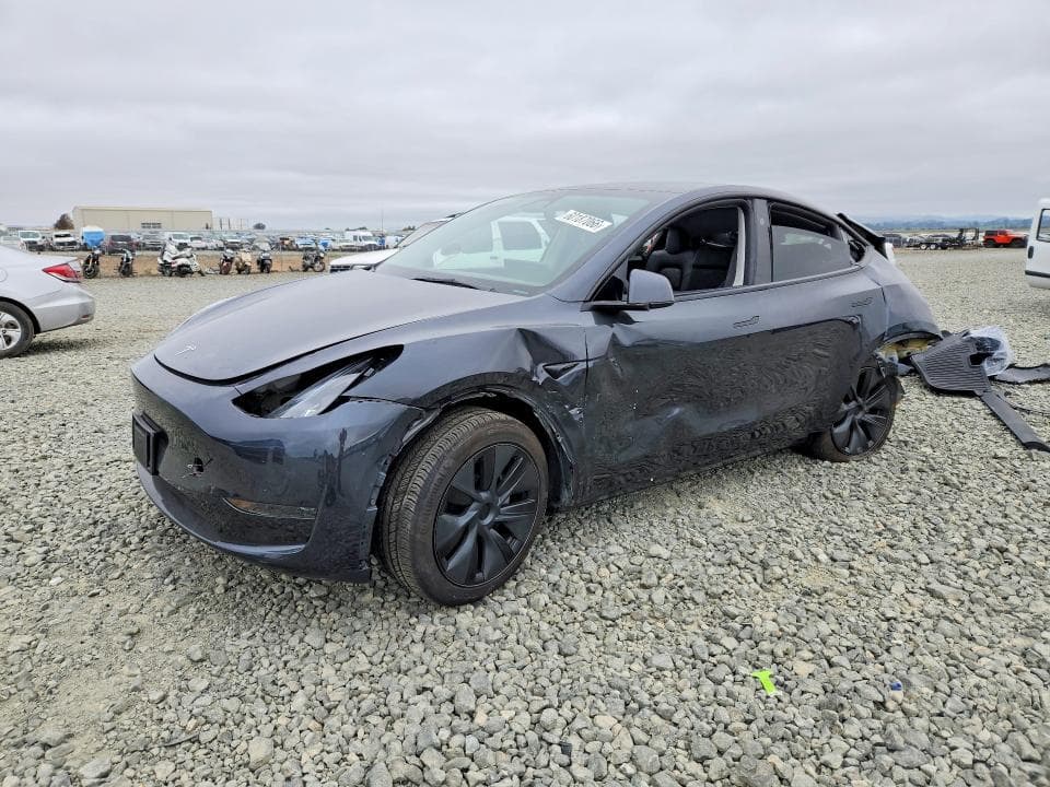 2025 TESLA MODEL Y - 1
