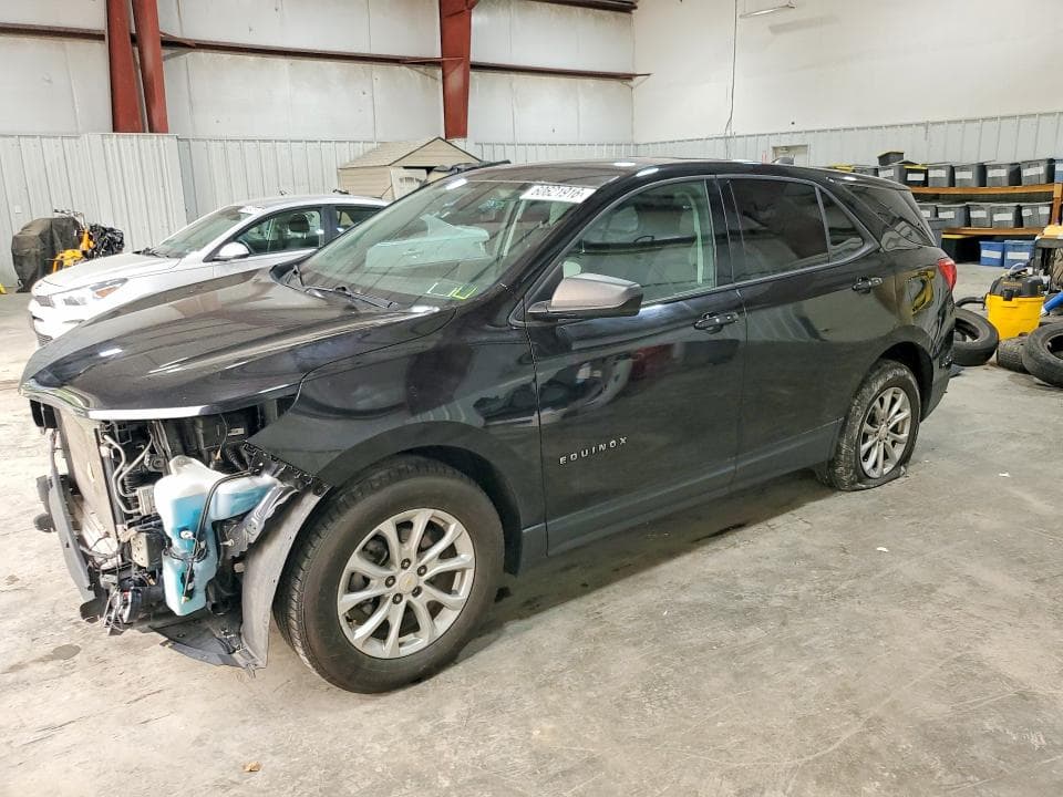 2019 CHEVROLET EQUINOX LS - 1