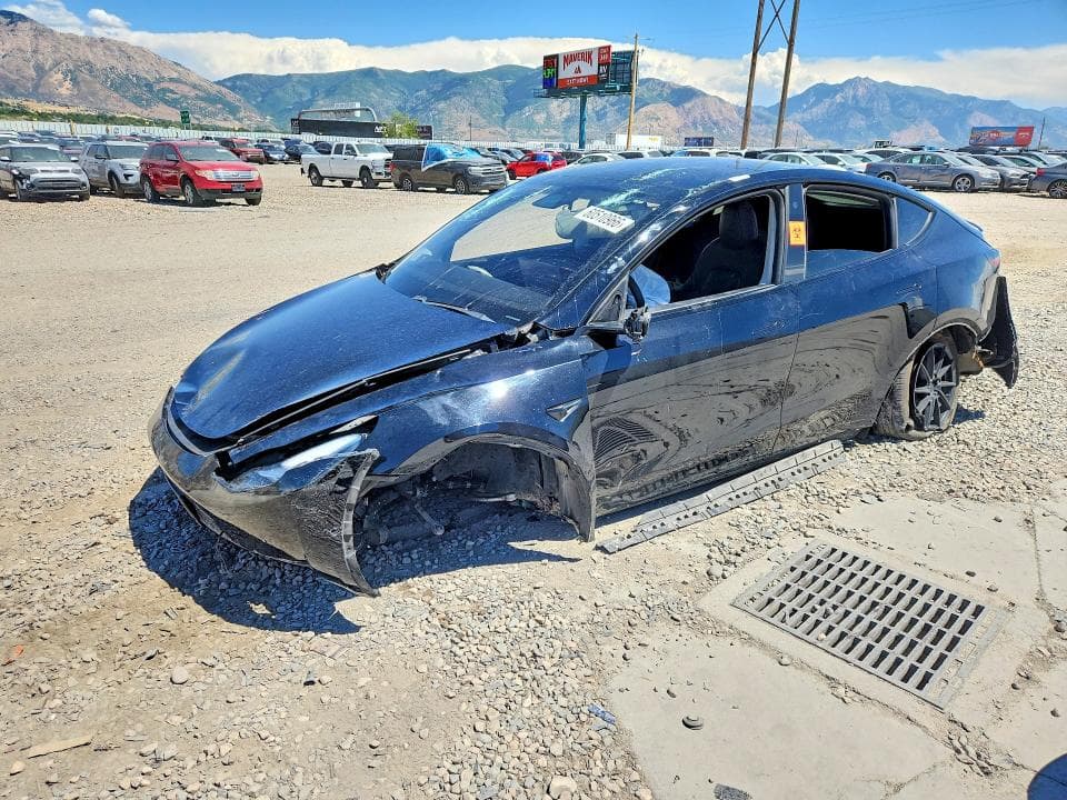 2021 TESLA MODEL Y - 1