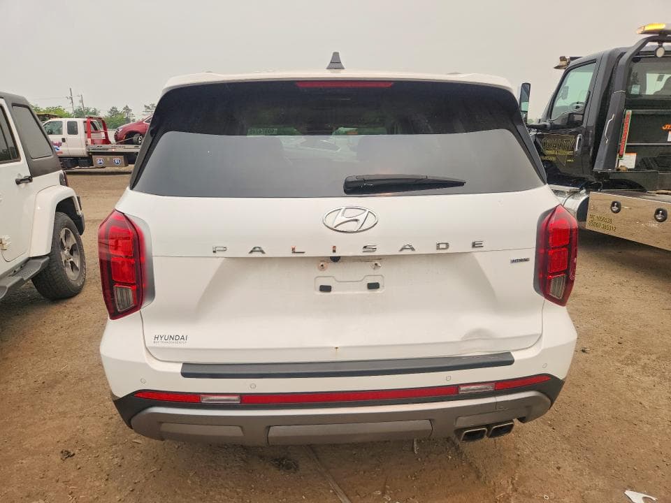2023 HYUNDAI PALISADE LIMITED 6
