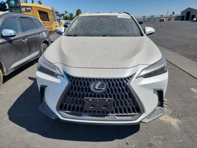 2025 LEXUS NX 350H PREMIUM 5