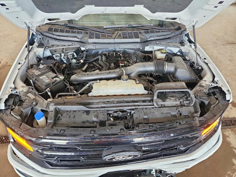 2024 FORD F150 XLT 11