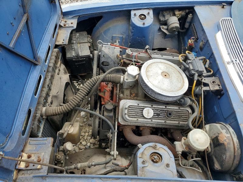 1973 OTHER STAG 11