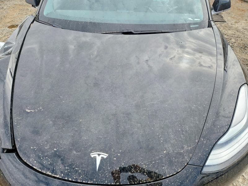 2019 TESLA MODEL 3 11