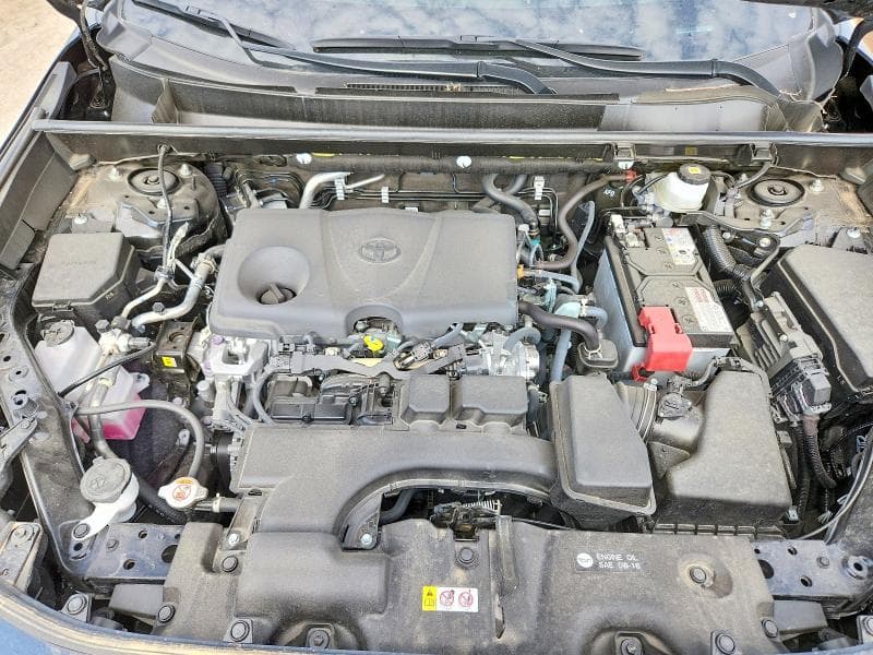 2025 TOYOTA RAV4 XLE 11