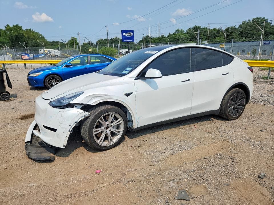 2021 TESLA MODEL Y - 1