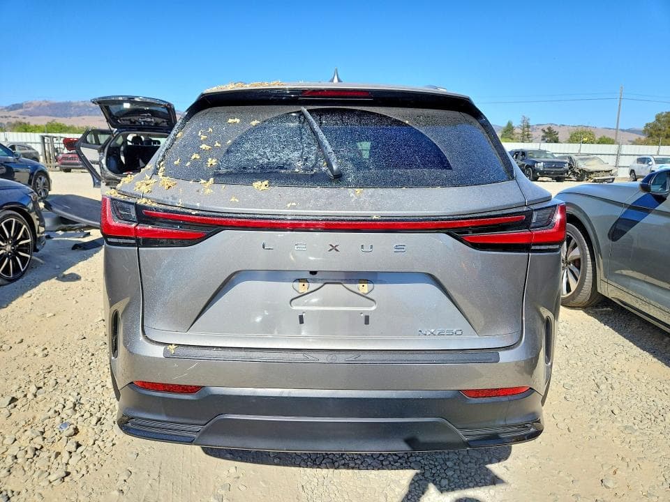2024 LEXUS NX 250 BASE 6