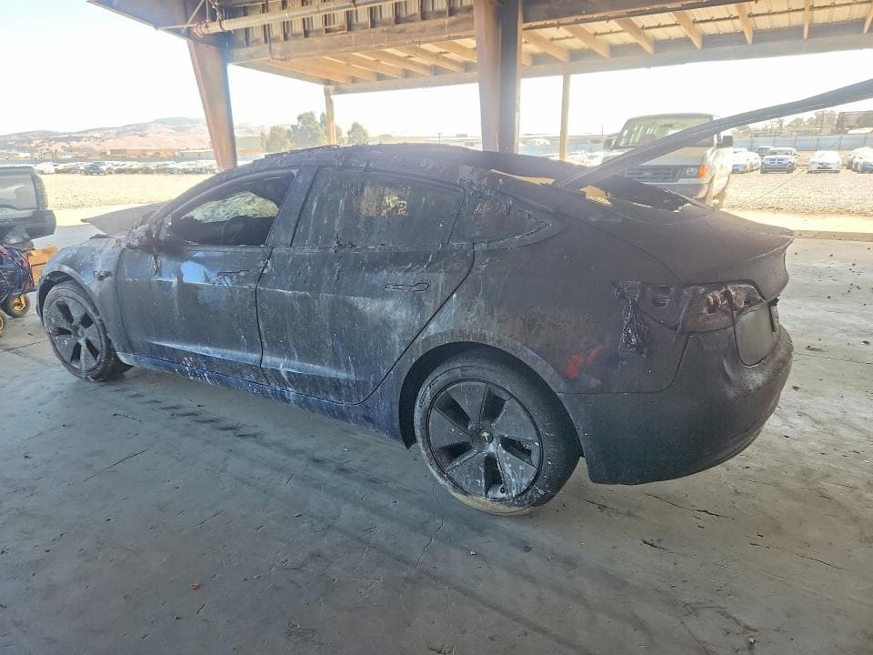 2023 TESLA MODEL 3 2