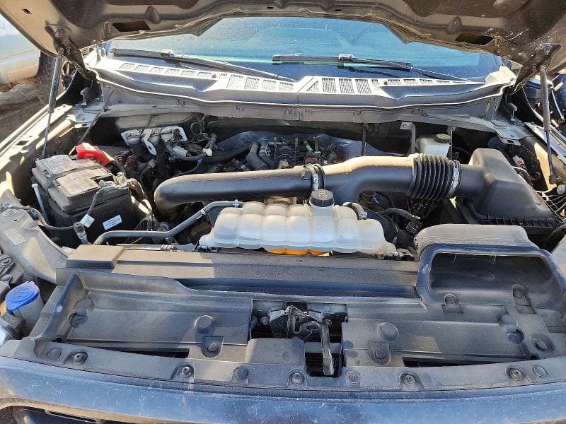 2021 FORD F150 SUPERCREW 11