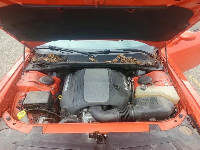 2019 DODGE CHALLENGER R/T 11