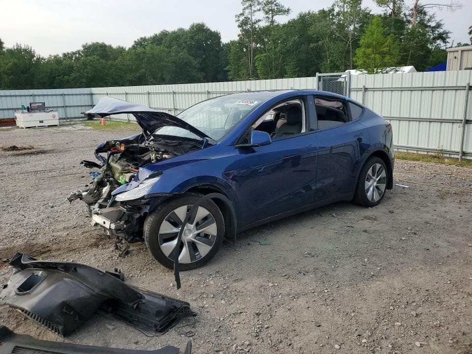 2021 TESLA MODEL Y - 1