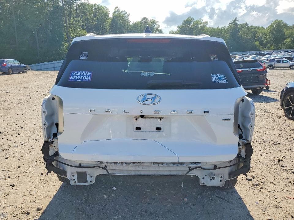 2023 HYUNDAI PALISADE LIMITED 6