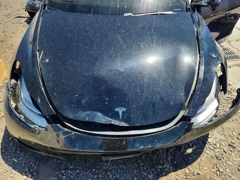2021 TESLA MODEL Y 11