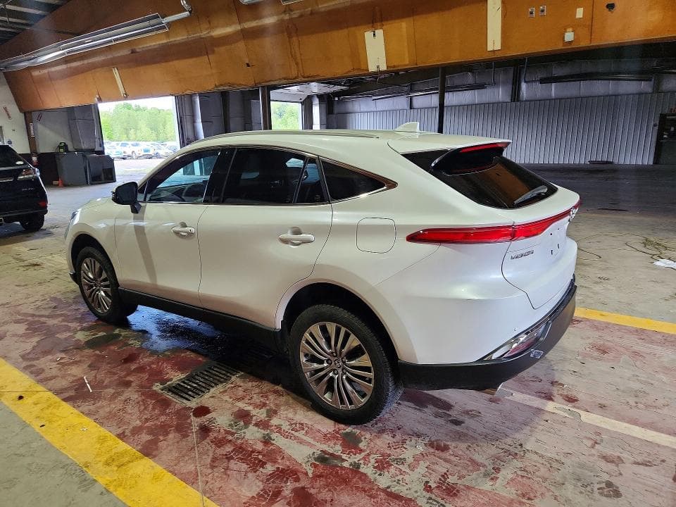 2024 TOYOTA VENZA XLE 2