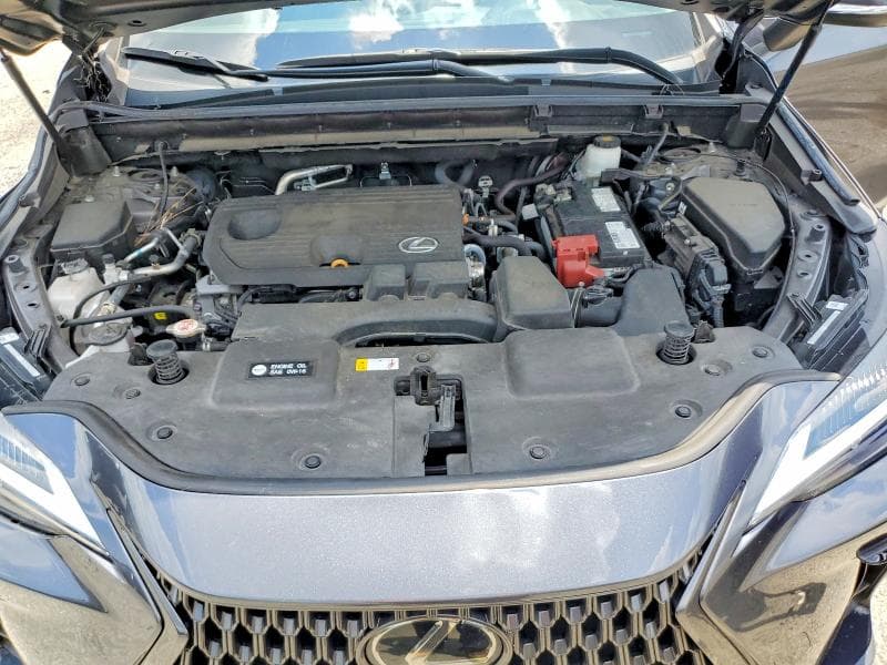 2024 LEXUS NX 250 BASE 12