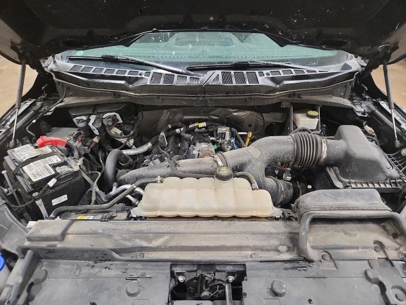 2021 FORD F150 SUPERCREW 11