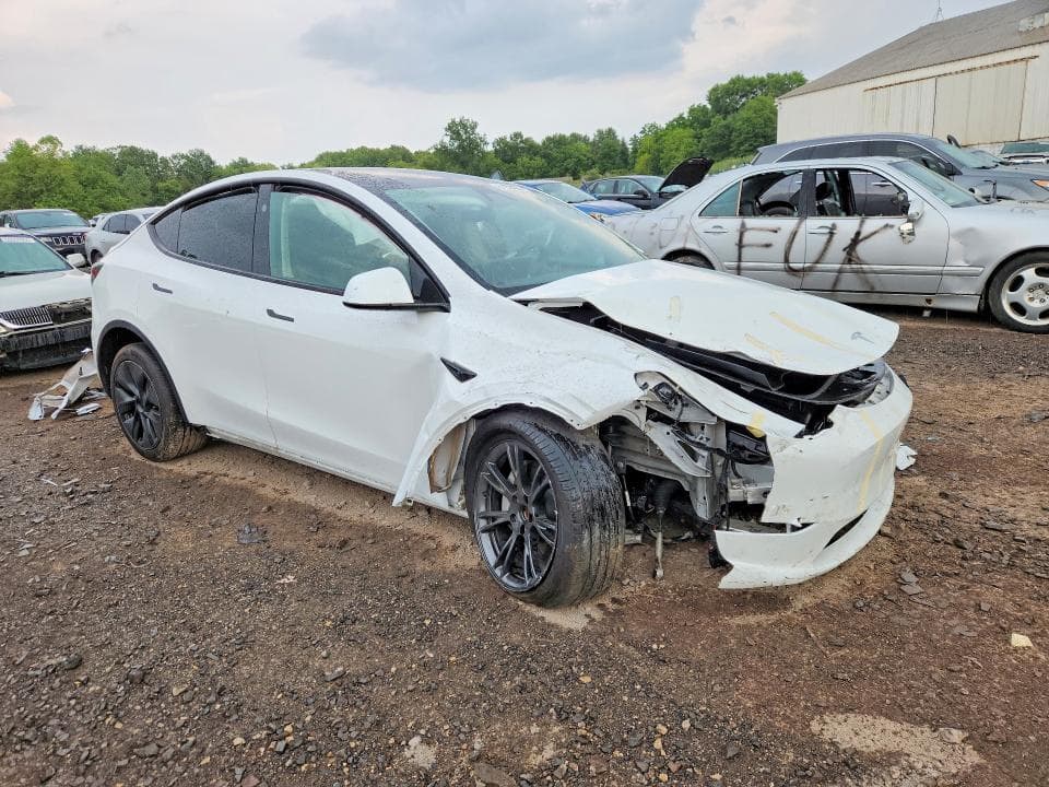2024 TESLA MODEL Y 4
