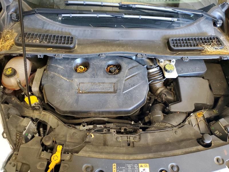 2018 FORD ESCAPE TITANIUM 12