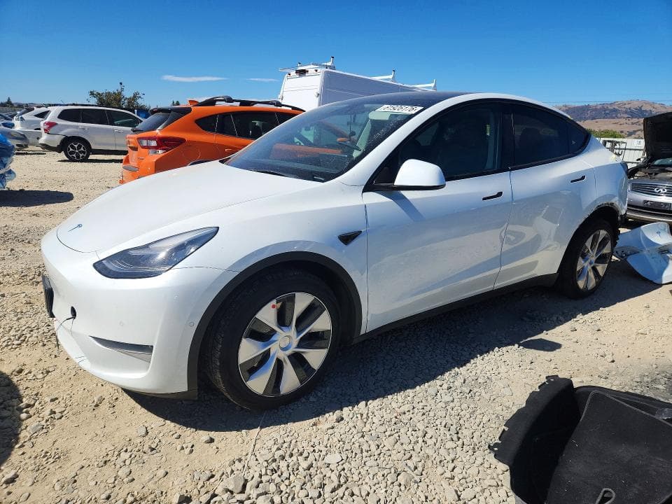 2021 TESLA MODEL Y - 1