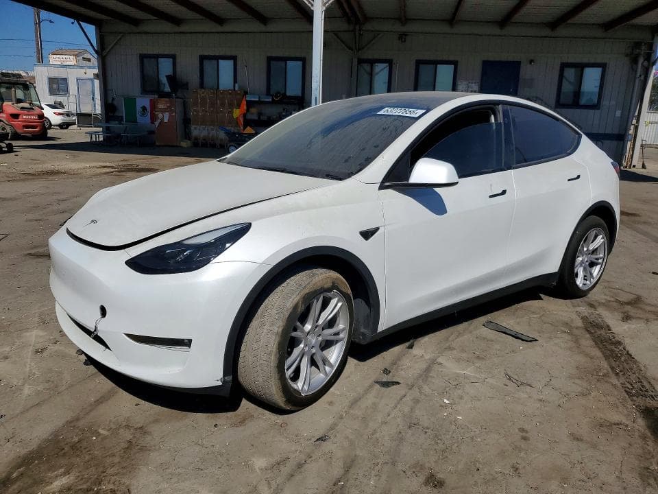 2023 TESLA MODEL Y - 1
