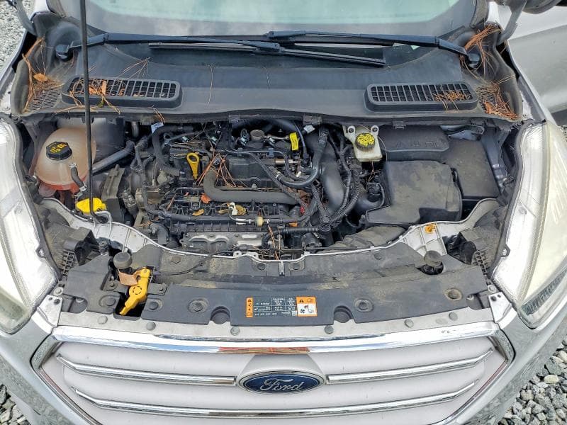 2019 FORD ESCAPE SE 12