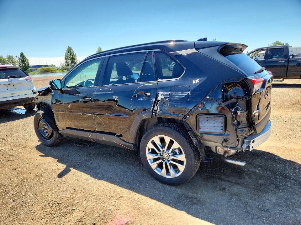 2024 TOYOTA RAV4 XLE 2