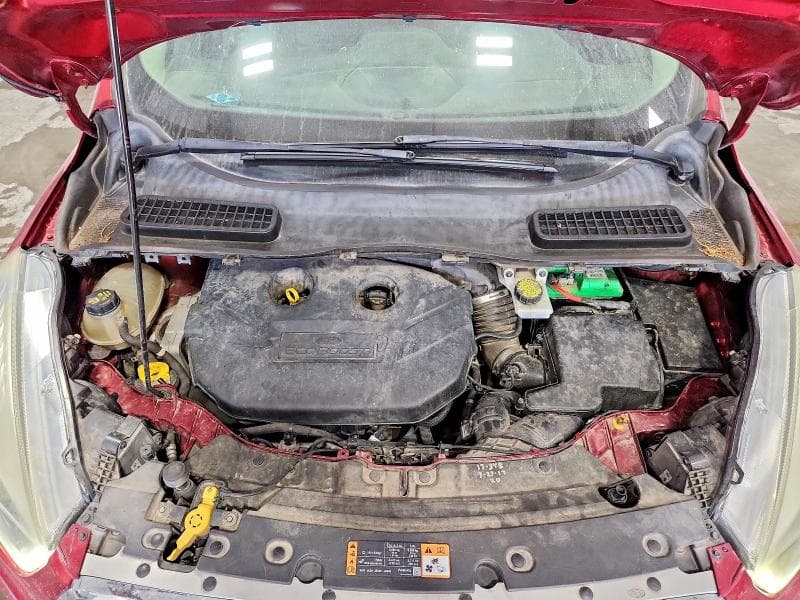2017 FORD ESCAPE TITANIUM 11
