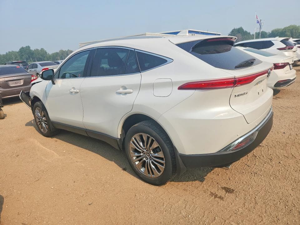 2024 TOYOTA VENZA LE 2
