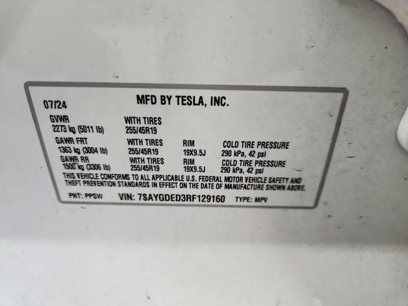 2024 TESLA MODEL Y 13