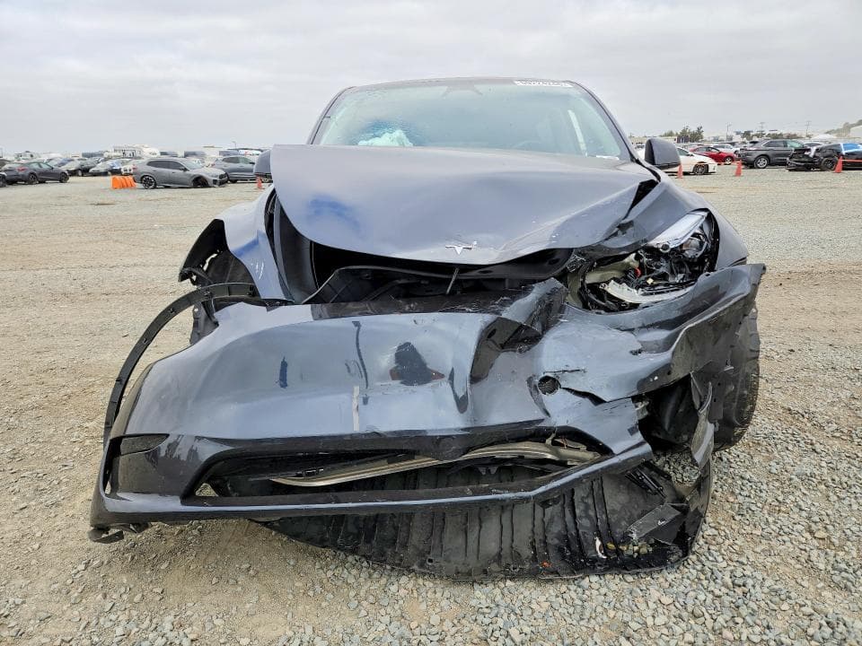 2024 TESLA MODEL Y 5