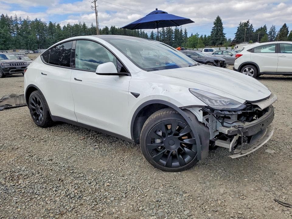 2021 TESLA MODEL Y 4
