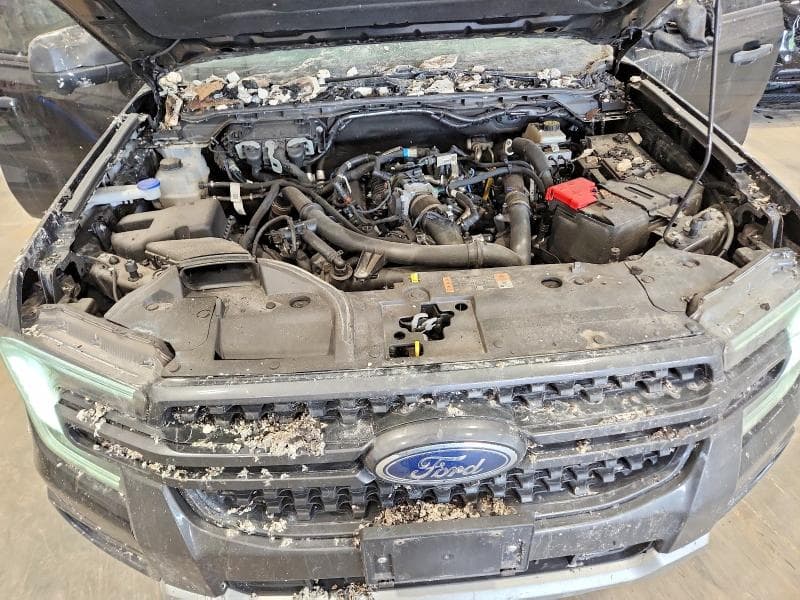 2024 FORD RANGER XLT 12
