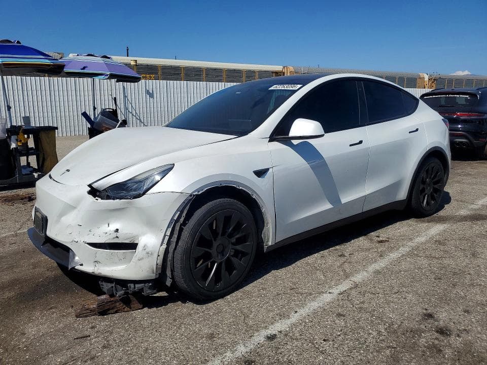 2020 TESLA MODEL Y - 1
