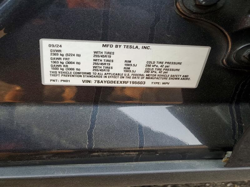 2024 TESLA MODEL Y 13