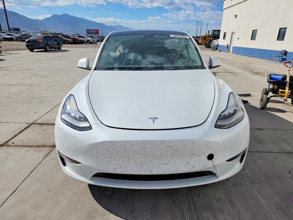 2021 TESLA MODEL Y 5