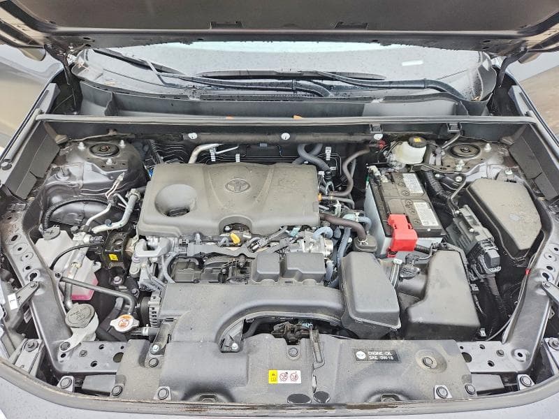 2025 TOYOTA RAV4 XLE 11