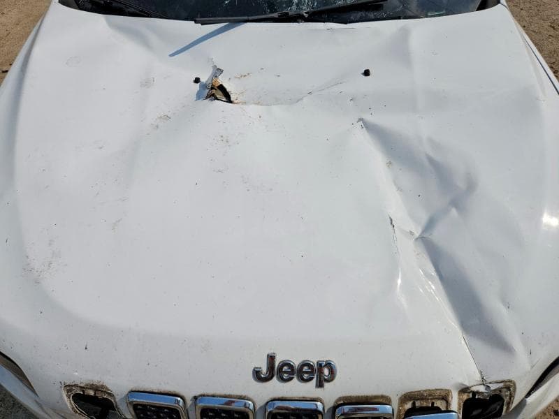 2019 JEEP CHEROKEE LATITUDE PLUS 12