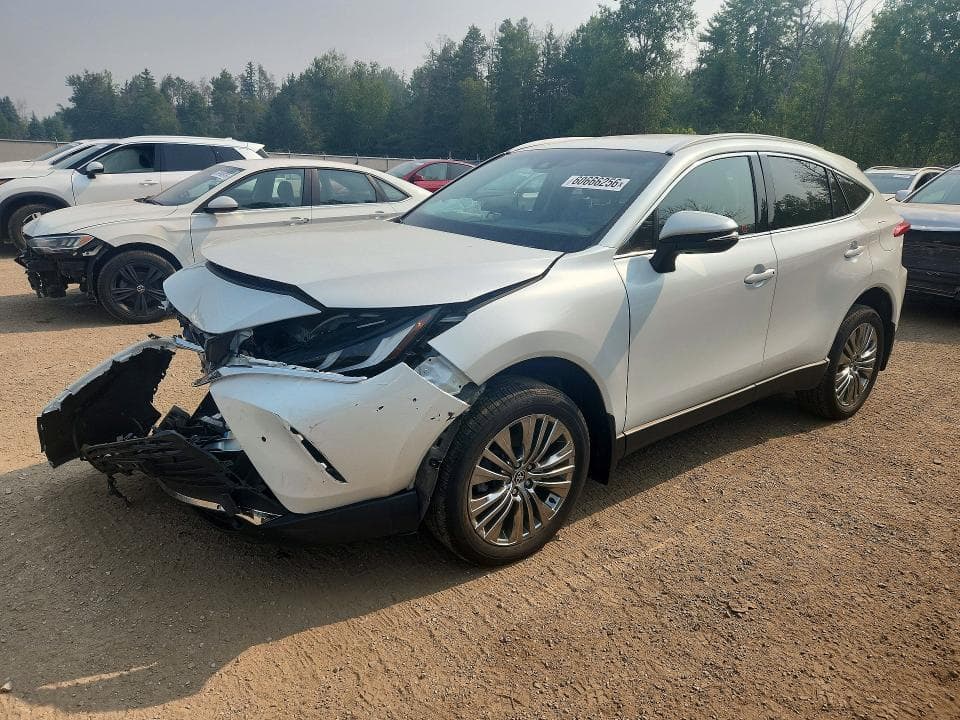 2024 TOYOTA VENZA LE - 1