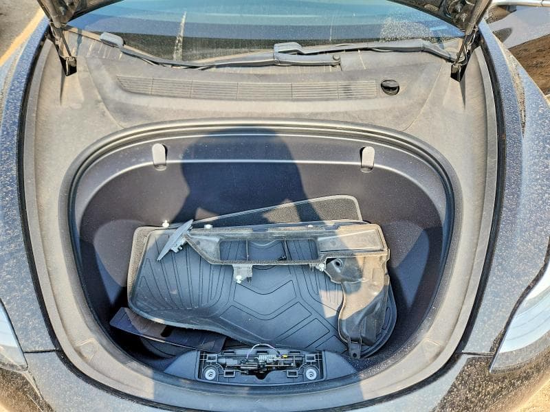 2019 TESLA MODEL 3 11