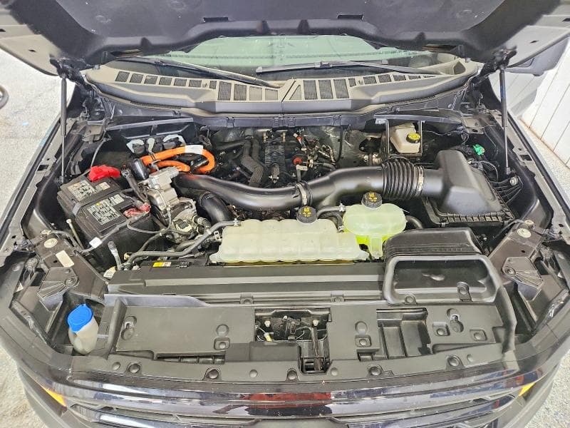 2025 FORD F150 XLT 11
