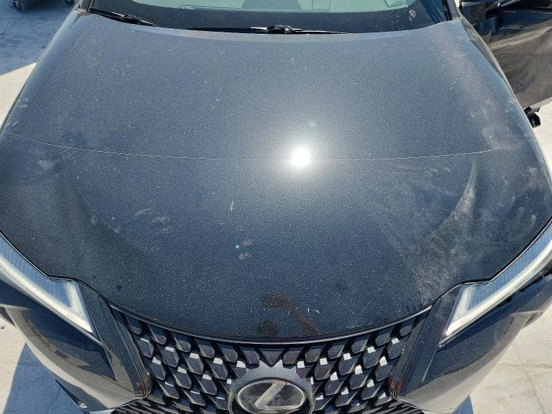 2019 LEXUS UX 200 12
