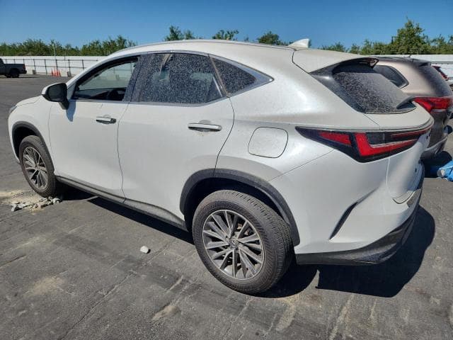 2025 LEXUS NX 350H PREMIUM 2