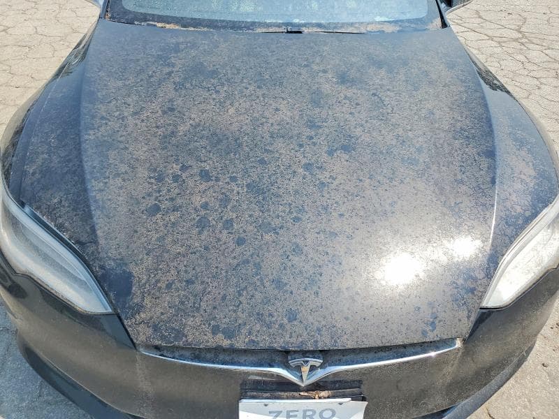 2019 TESLA MODEL S 11