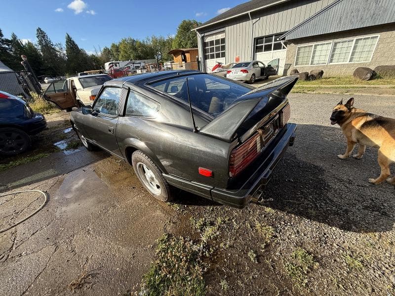 1982 DATSUN 280ZX 3
