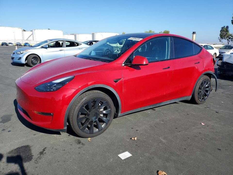 2023 TESLA MODEL Y - 1