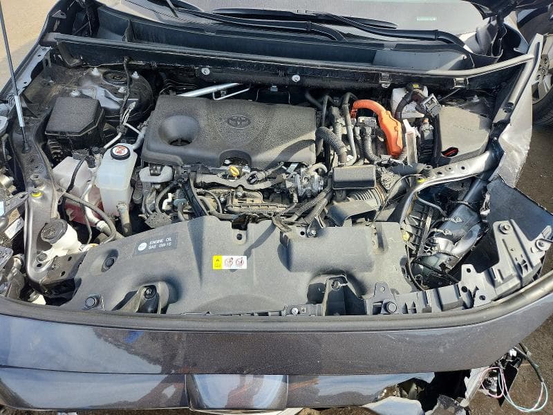 2025 TOYOTA RAV4 HYBRID XLE 12
