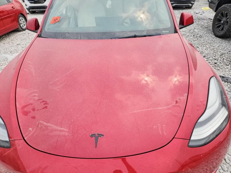 2021 TESLA MODEL Y 11