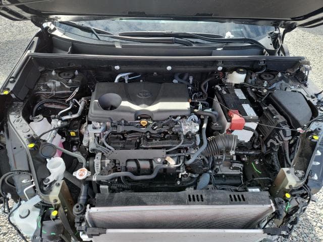 2025 TOYOTA RAV4 LE 12