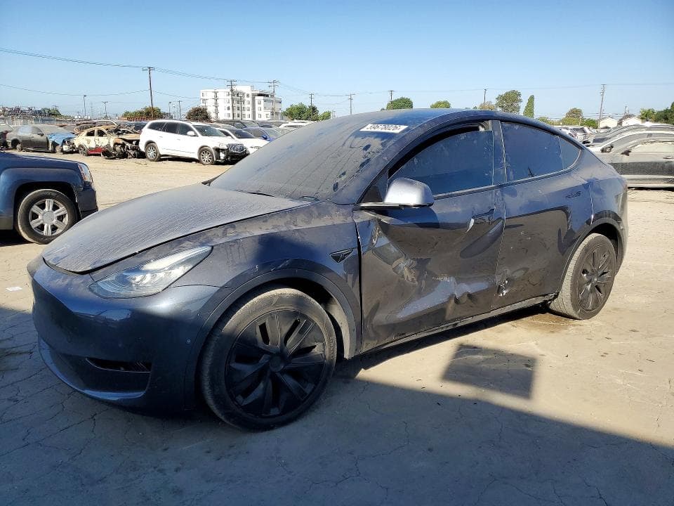 2021 TESLA MODEL Y - 1