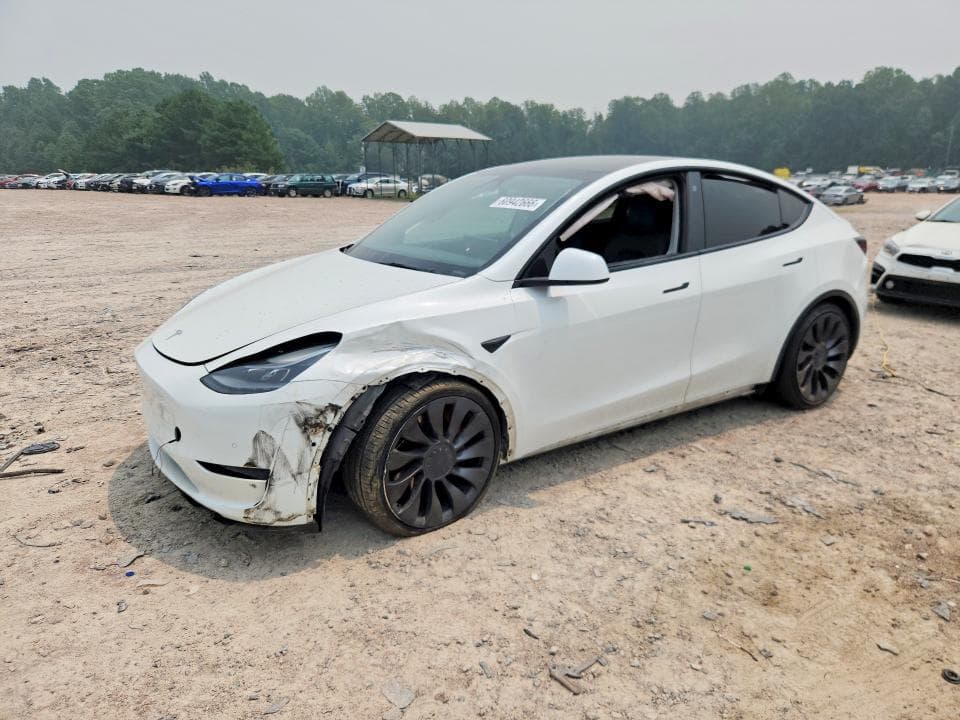 2021 TESLA MODEL Y - 1